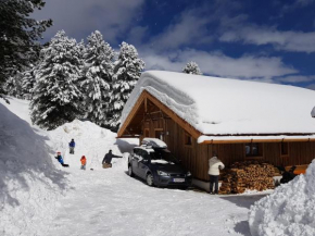 Отель Wildererhütte Chalet Helmut, Туррахерхёэ